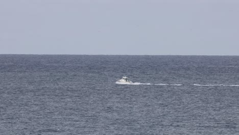 speedboat moving fast on calm sea surface