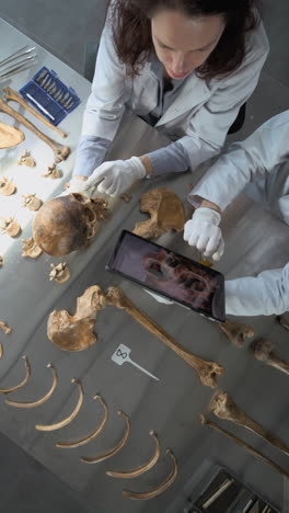 forensic analysis and digital imaging of human remains