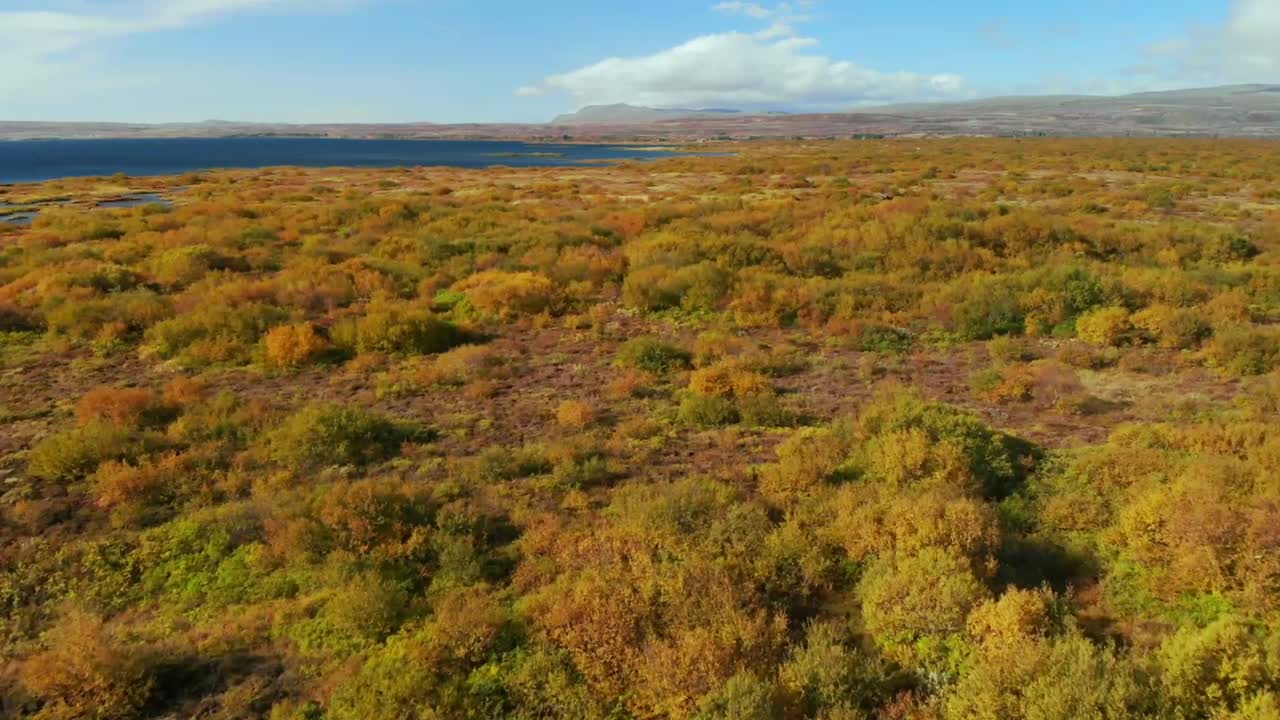Explore vibrant autumn colors in the tranquil lake landscape