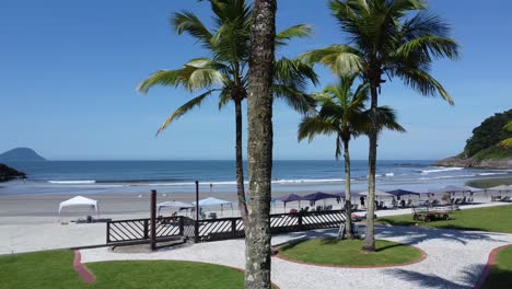 Seitliche-Bewegung-Mit-Drohne-Am-Strand-Mit-Kokosnussbäumen-Und-Natürlicher-Schönheit,-Ruhigen-Wellen-Und-Verlassenem-Sand