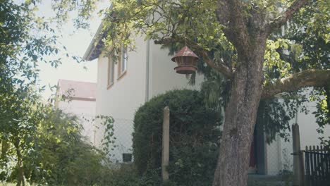 Static-wide-shot-of-a-birdhouse-hanging-at-a-tree