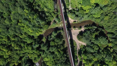 Regenspuren-Natur-Grüne-Baumwipfel-Kreisende-Drohne