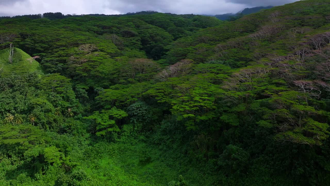 Tahiti island French Polynesia aerial drone tropical dense lush jungle flora forest Mahina Papeno'o mountainside canyon ravine valley Teahupoo Papeete Moorea Mont Orohena greenery sunny cloudy upwards