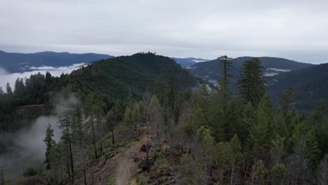 Foggy-Mountains-in-Northern-California