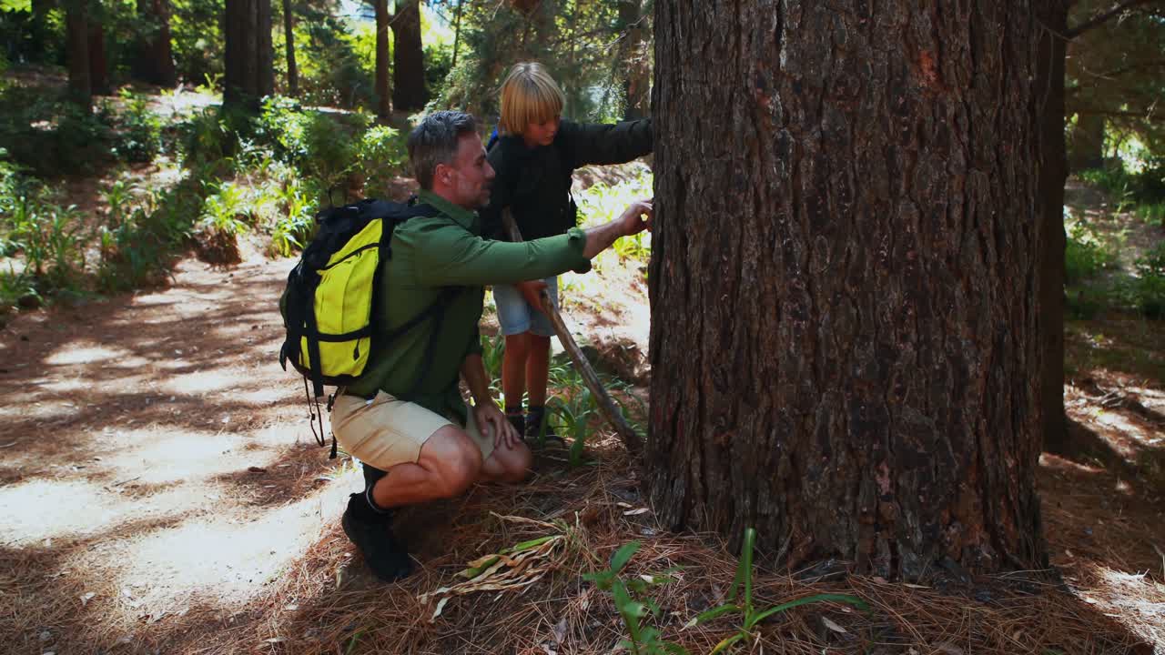 padre e hijo tocando el tronco del árbol en el parque