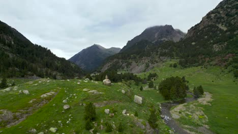 Fluss-Fließt-Durch-Waldtal-In-Den-Bergen