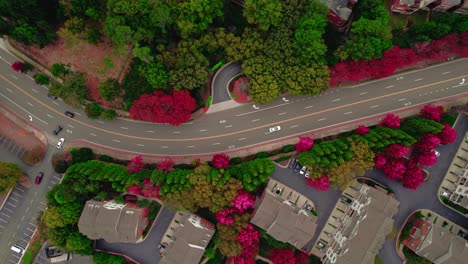 Aerial-of-the-traffic-road-and-residential-area-of-Atlanta,-Georgia,-bird's-eye-view-the-essence-of-autumn-in-its-splendor