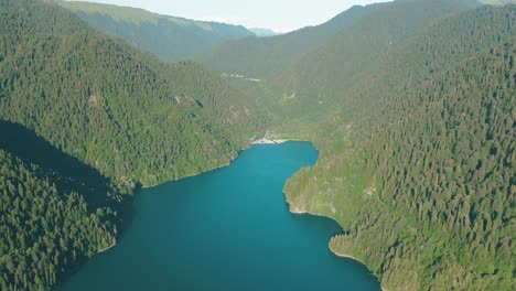 tranquilo lago de montaña y paisaje forestal