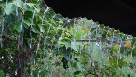 Nahaufnahme-Eines-Sintflutartigen-Regengusses-Mit-Wasser,-Das-Vom-Dach-In-Den-Garten-Auf-Einer-Tropischen-Insel-Strömt