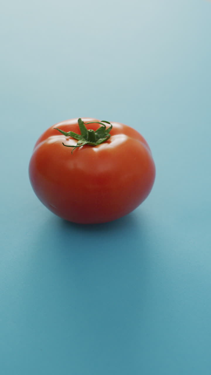 파란색 배경 에 있는 신선 한 익은 은 토마토 의 수직 비디오