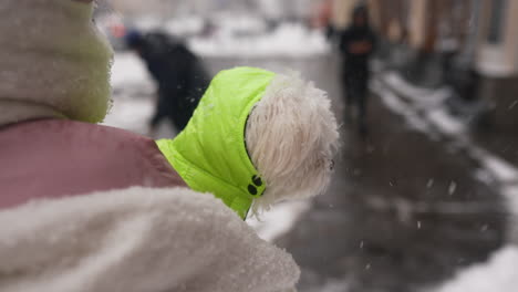 pequeño perro blanco en una chaqueta amarilla en la nieve