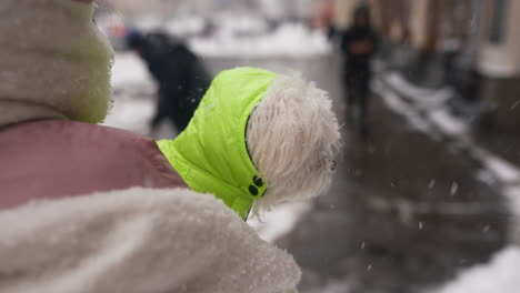 small white dog in a yellow jacket in the snow