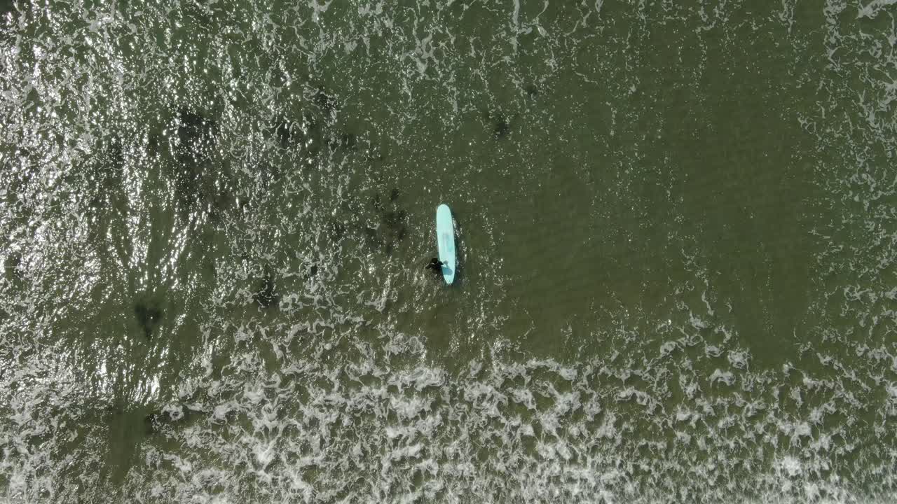 surfistas en el mar, kamakura, japón