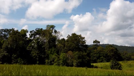 Paisaje-En-El-Parque-Nacional-De-Khao-Yai,-árboles-Y-Montañas-Con-Grandes-Nubes-Esponjosas-Que-Proyectan-Sombras