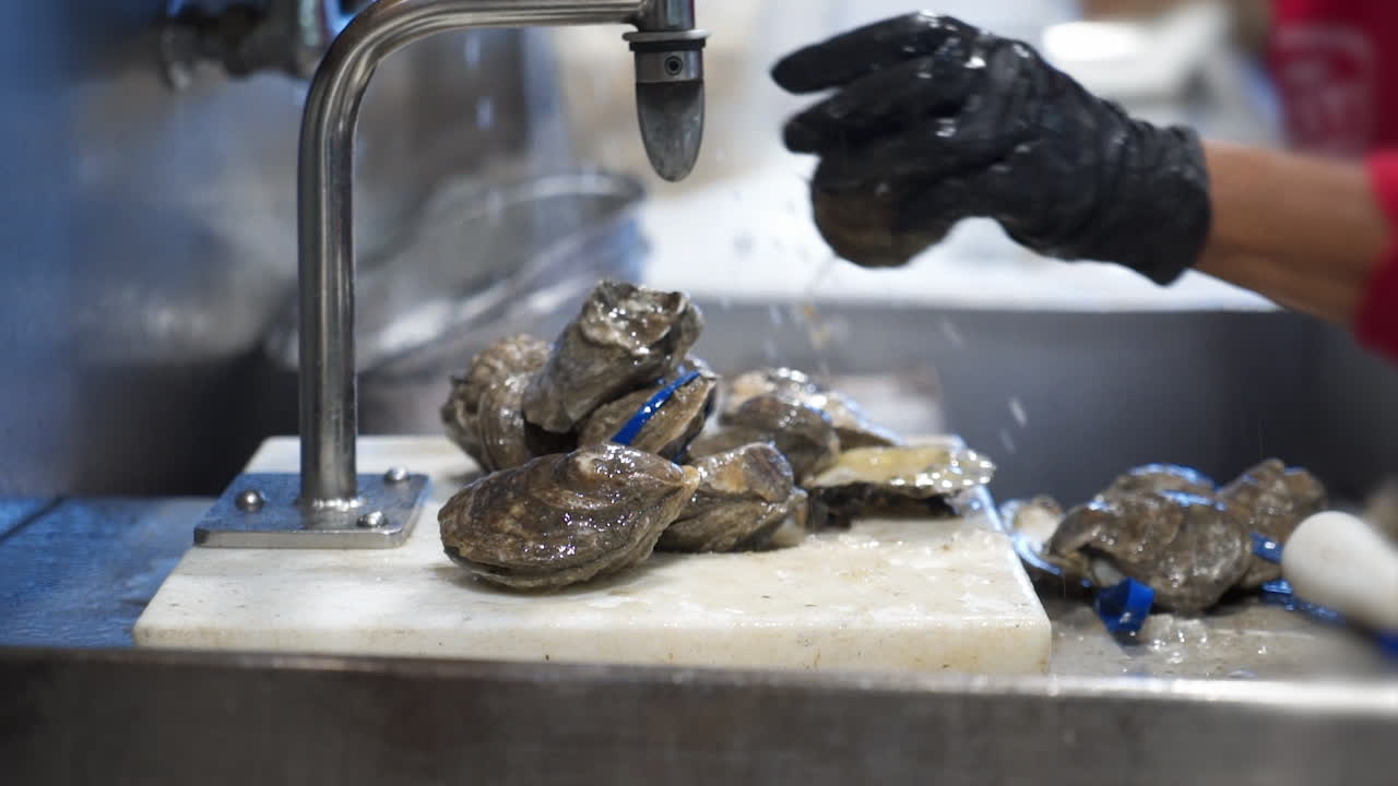 Un lavoratore lava ostriche vive sotto acqua corrente, mani puliscono ostriche fresche al lavello di preparazione, slider HD