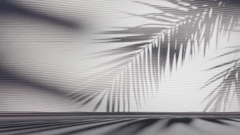 palm leaf shadows on ribbed white wall and floor. minimalist background scene. tropical summer and vacation concept. design for wallpaper, banner, header, poster. front view with copy space