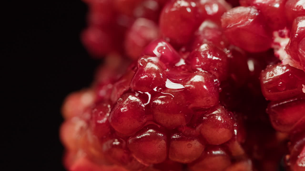 달이 씨의 클로즈업