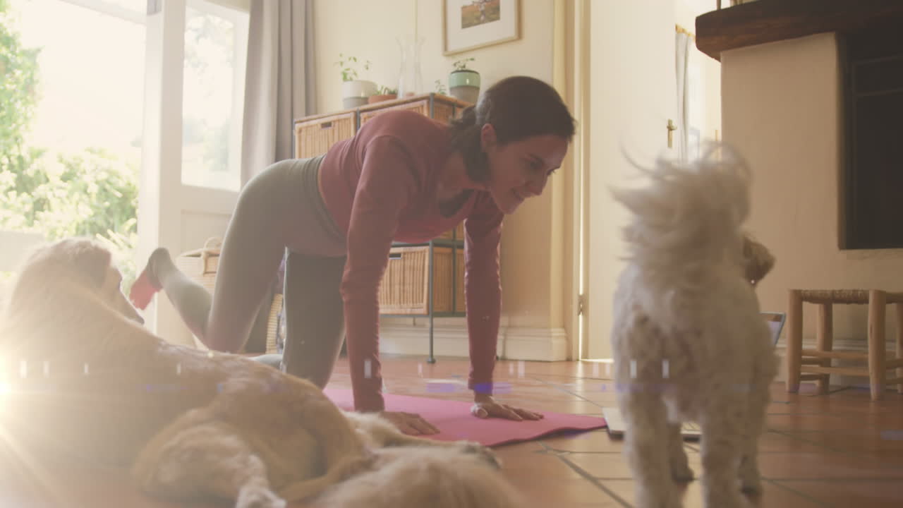 집 에서 개 와 함께 놀면서 요가 를 하는 백인 여자 에 대한 빛 의 반점