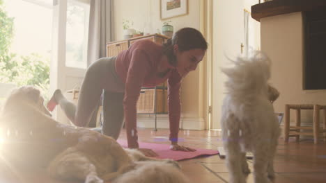 punto de luz contra una mujer caucásica realizando yoga mientras juega con su perro en casa