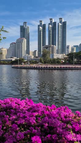 modern condominium towers in bangkok, thailand, vertical view from benjakitti park lake