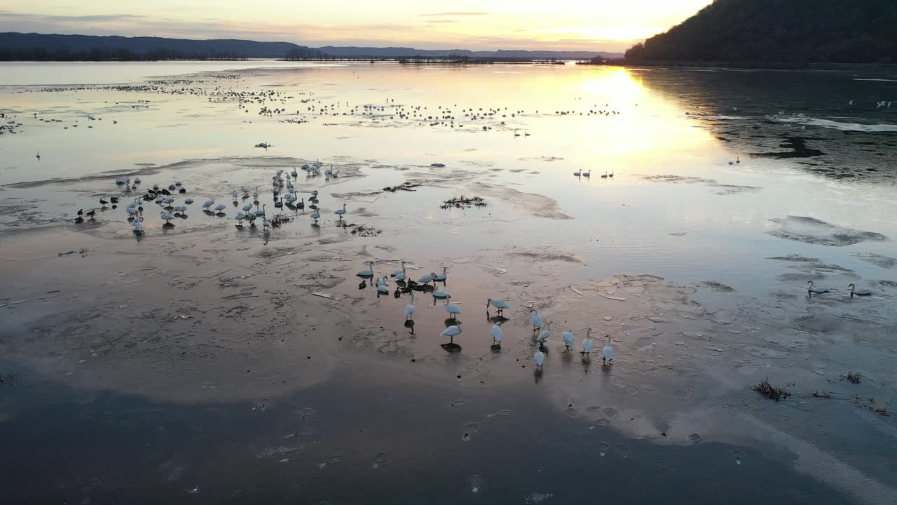얼어붙은 강 위에서 해가 뜨고 백조와 오리