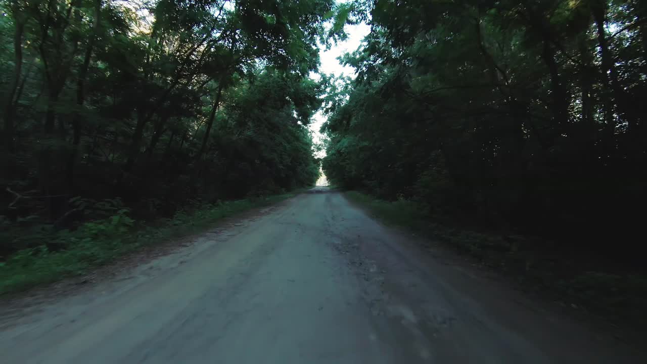 숲 을 가로지르는 길