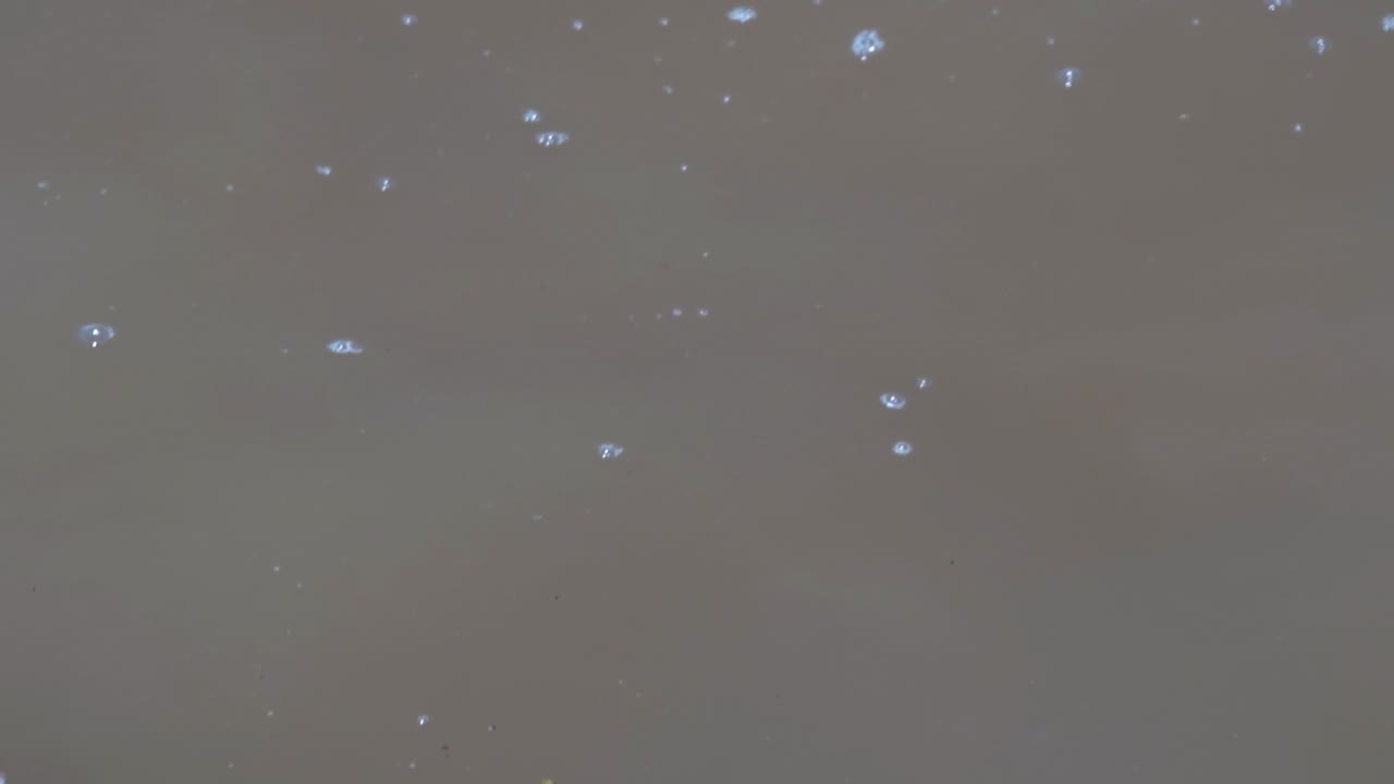 호수의 오염된 물