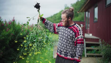 Hombre-Que-Sostiene-Una-Planta-Floreciente-Con-Raíces-Extraídas-Del-Suelo-Del-Jardín