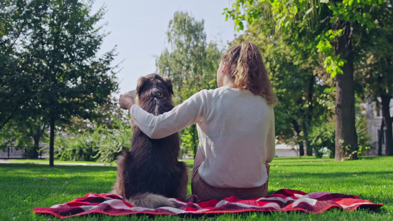 독일 셰퍼드 개 를 안고 있는 여자, 야외 에서, 공원 의 풀 에 앉아 있는 여자, 우정