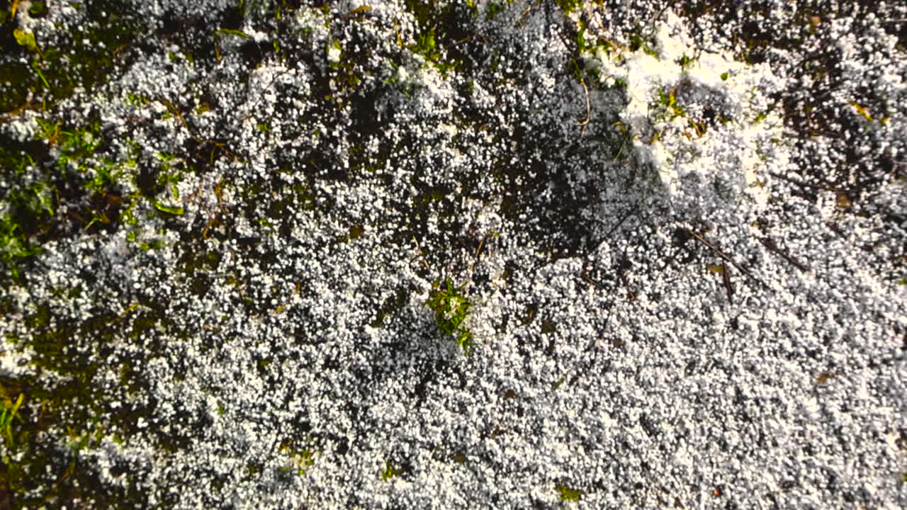 Top down view of fresh white snow hale on a muddy ground with green grass visible around during a sunny winter day. The video footage lifts up higher and ascends