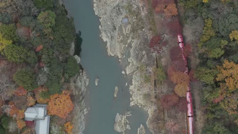 japanese train travels past scenic arashiyama in fall colors aerial 4k