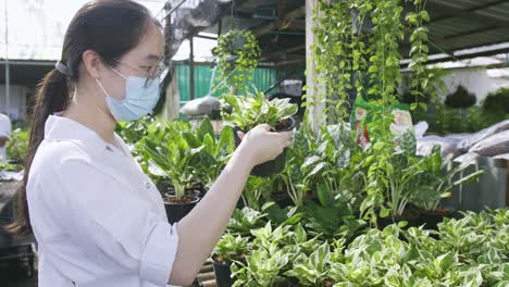 A-masked-woman-examines-a-potted-plant-in-a-plant-nursery-in-bright-sunlight