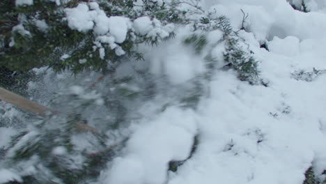 limpiando un árbol cubierto de nieve con una escoba