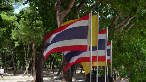 thai and traditional yellow royal flag wave in strong ocean breeze in shade of trees