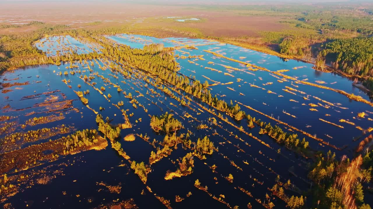 Golden sunrise reveals colorful spring bog patterns in aerial wide pullback