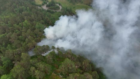 Dichter-Rauch-Von-Einem-Feuer,-Das-Mehrere-Hektar-Wald-Verbrennt