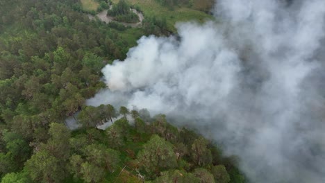 humo espeso del fuego que quema varios hectáreas de bosque