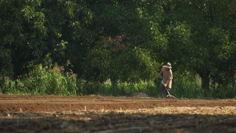 isolated farmer preparing the field, amending the plantation land before harvesting season