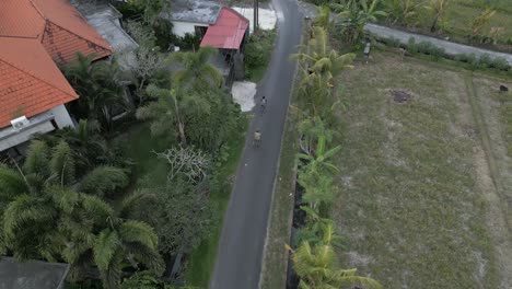 aerial tracks cyclists on narrow road in tropical agriculture village