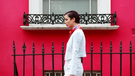 Mujer-Elegante-Bolsa-De-Transporte-Camina-Por-Las-Calles-De-La-Ciudad