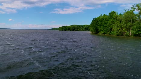 drone footage of the mosquito lake shoreline on a clear day with blue sky and white clouds