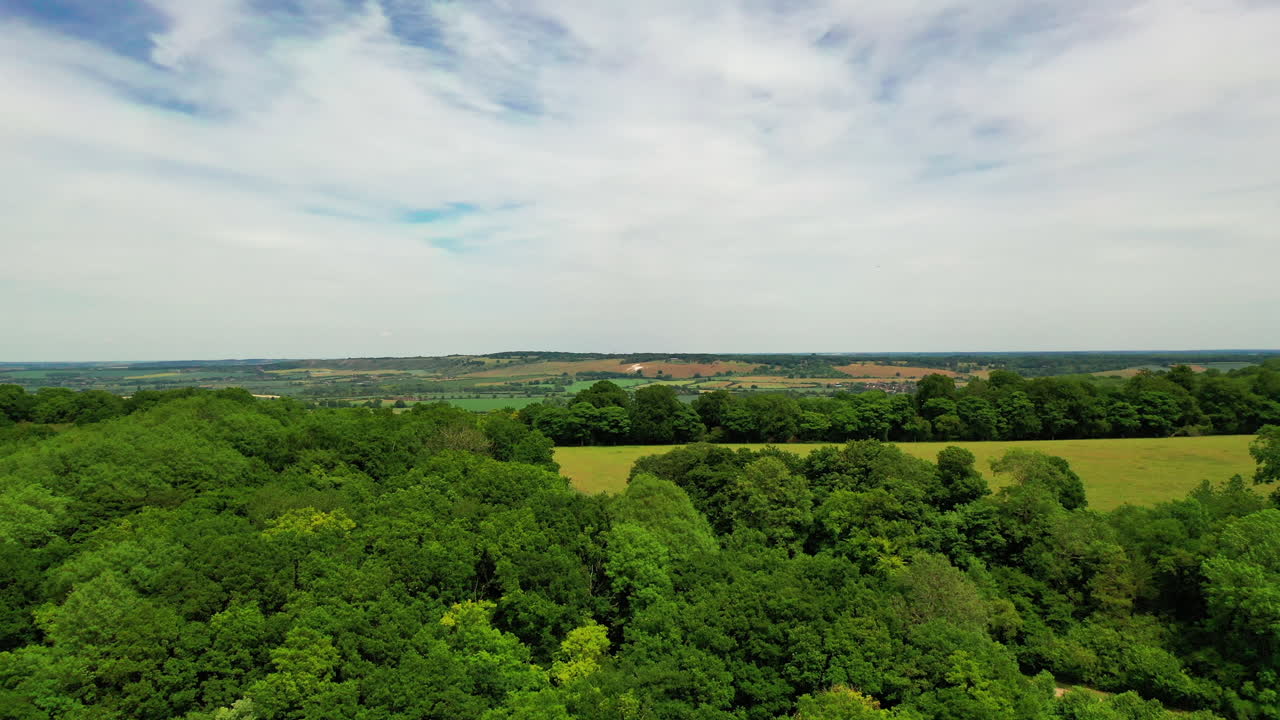 tiro de seguimiento aéreo sobre un bosque en la campiña inglesa, día soleado brillante