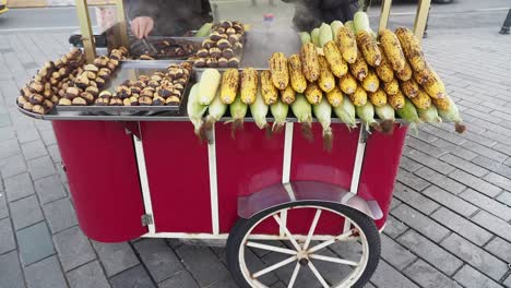 street food vendor selling roasted chestnuts and corn