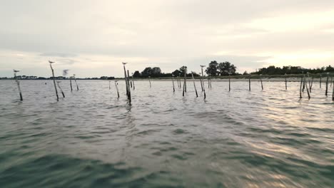 Vögel-Sitzen-Bei-Sonnenuntergang-Auf-Pfählen-Im-Meer