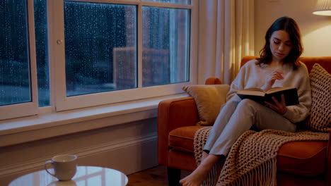 woman reading a book in a cozy living room on a rainy evening