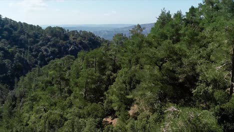 vista aérea del valle de la montaña forestal