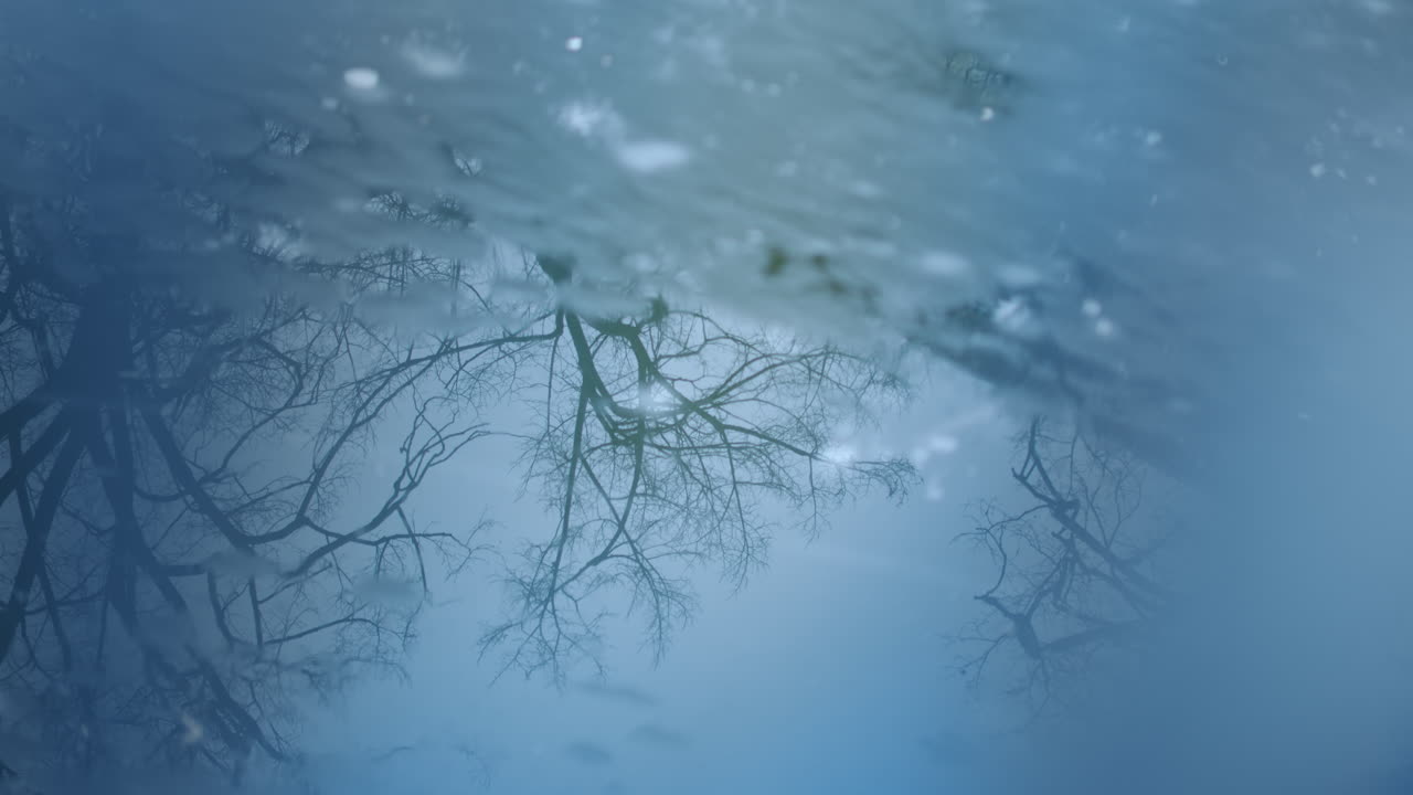 Reflections of leafless winter trees in frozen water of lake. Blue peaceful composition in ice