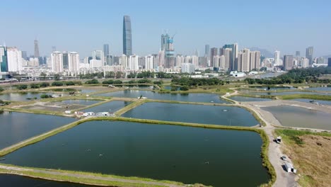 홍콩 록마차우 마을 지역에서 본 심천 스카이라인 중국 본토
