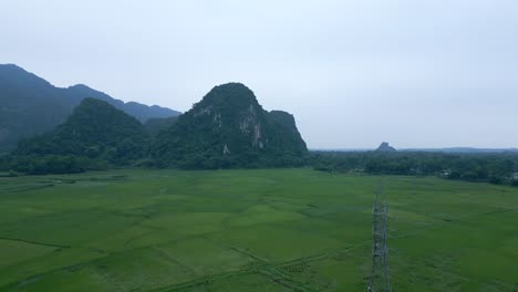 scenic rice paddies and mountains