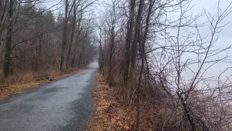 A-foggy,-rainy,-cloudy-pristine-mountain-lake-in-the-appalachian-mountains